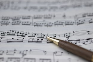 -NBA球员职业规划建议与实施，nba球员怎么规划锻炼和训练